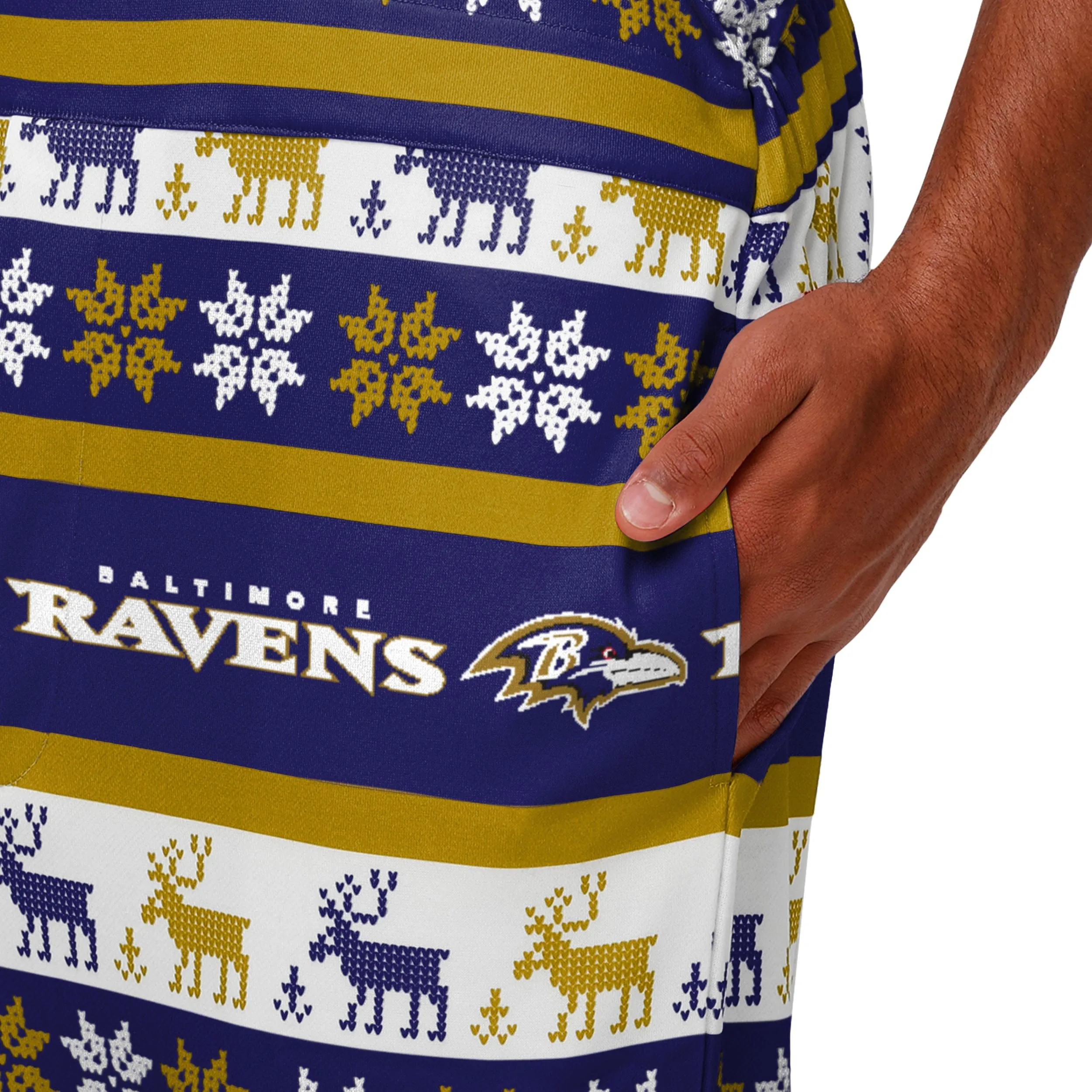 Baltimore Ravens NFL Mens Ugly Home Gating Bib Overalls